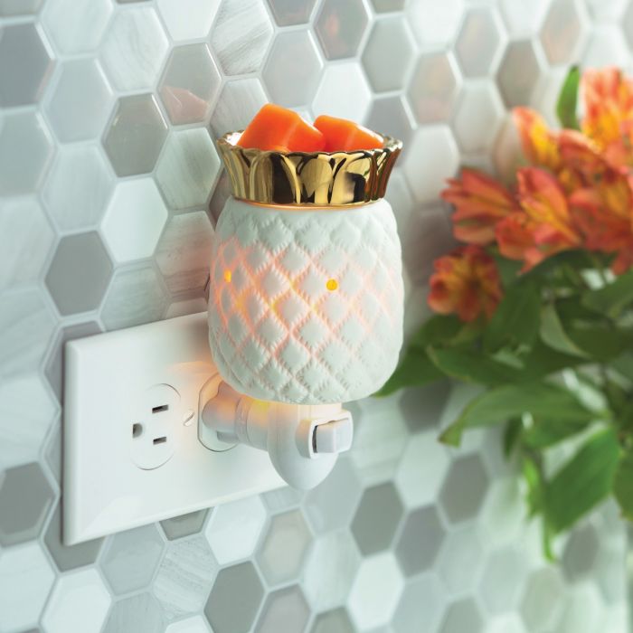 PINEAPPLE LOVE PLUG IN – The Chandler Ashton Collection